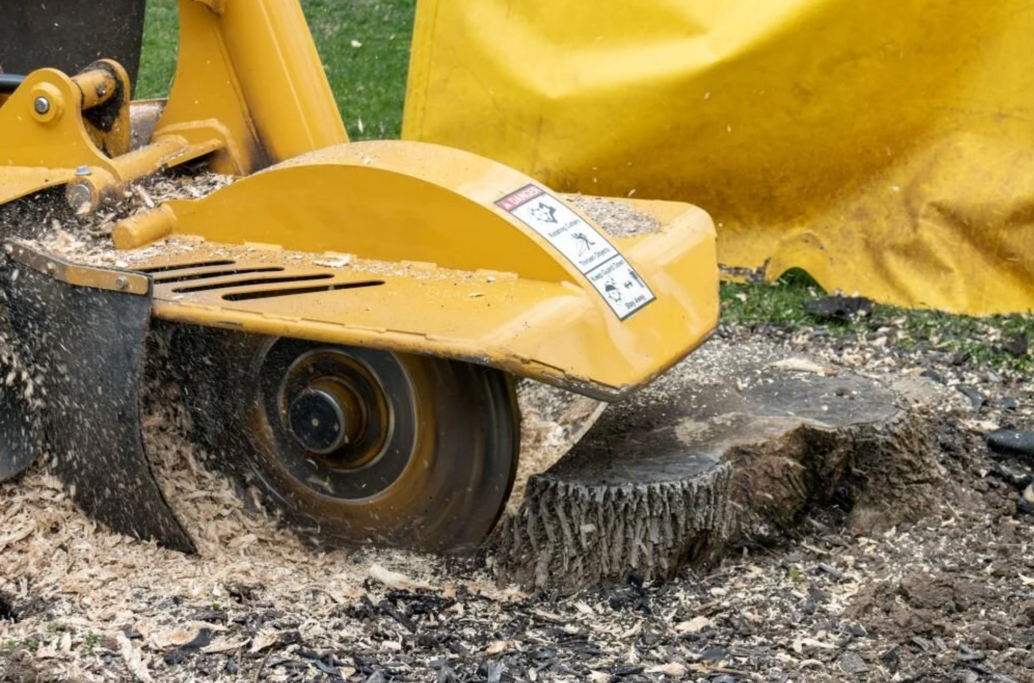Stump grinding machine in action